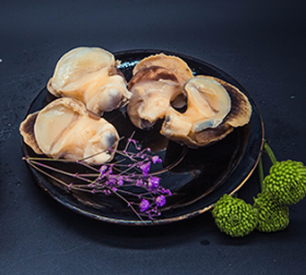 東港玉螺哪家好 東港玉螺哪家好