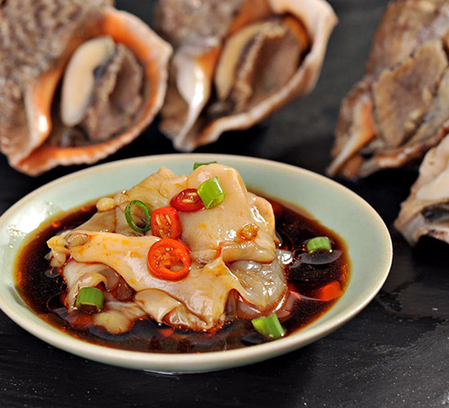 東港海螺哪家好 東港海螺哪家好