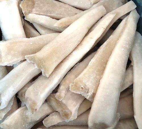 速凍象拔蚌哪家好 速凍象拔蚌哪家好