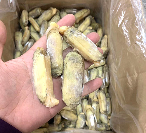 小人仙哪家好 小人仙哪家好