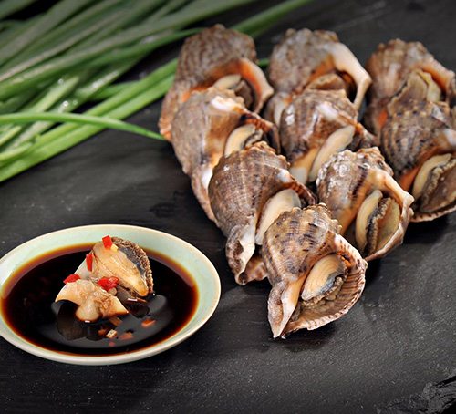 東港海螺美食 東港海螺美食