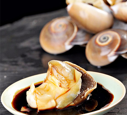 原汁扁玉螺 原汁扁玉螺