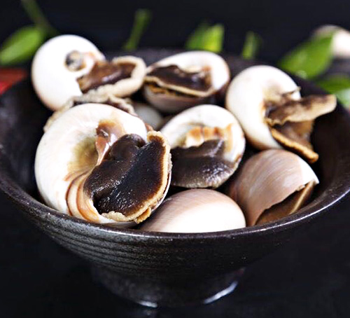 東港玉螺 東港玉螺